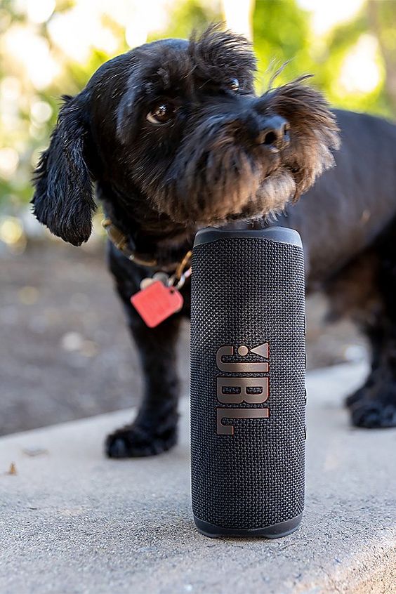 PARLANTE VIRAL FLIP 6 REPLICA ⌈CON EL 40% DE DESCUENTO⌉ PIDE AHORA, PAGA EN CASA