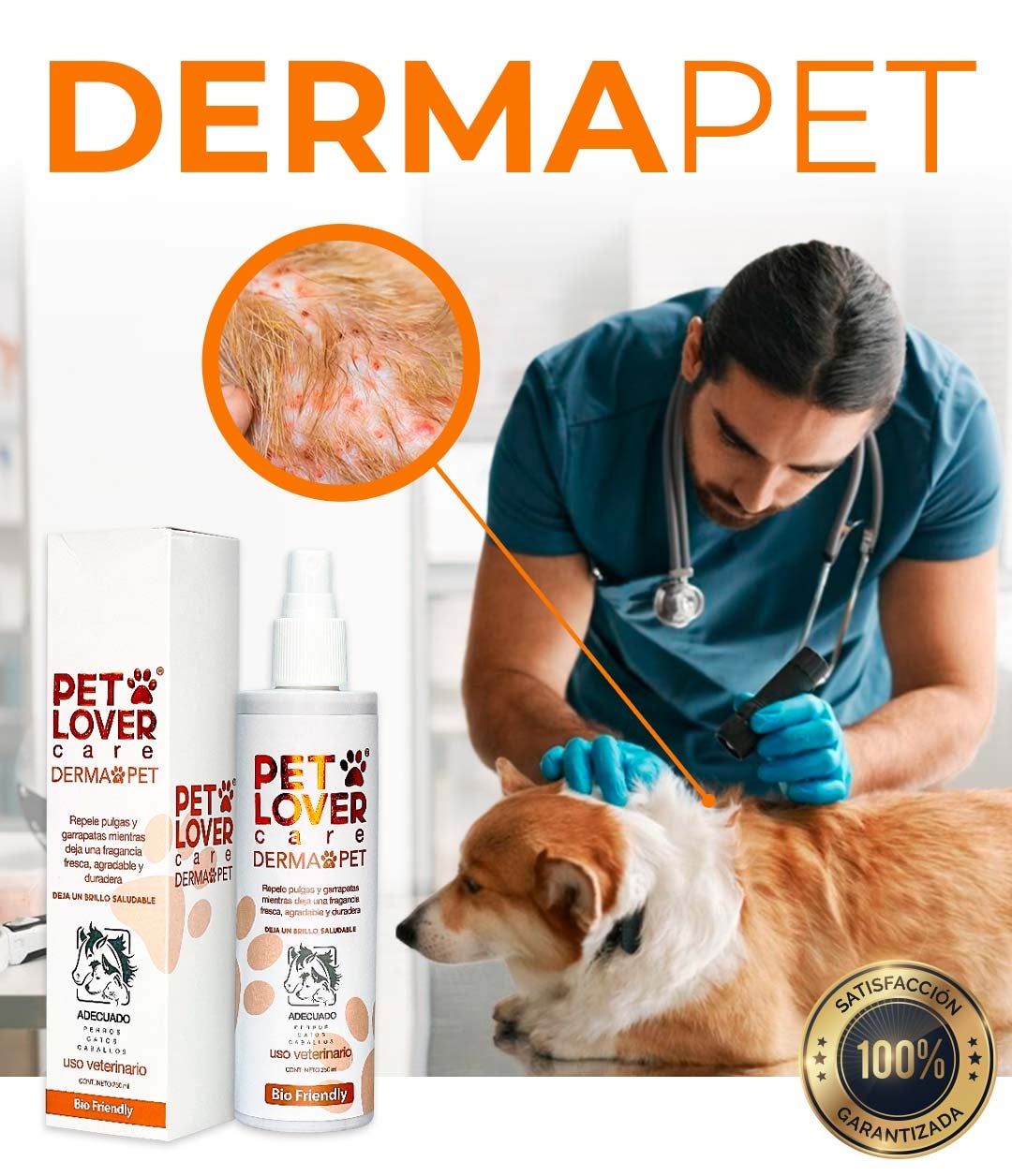 ✨ PET LOVER | 50% OFF POR LA COMPRA DE HOY