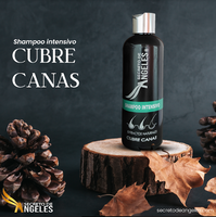 ✨¡REJUVENECE TU CABELLO! | ADIOS CANAS EN SOLO 10 MINUTOS | OFERTA SOLO POR HOY!✨