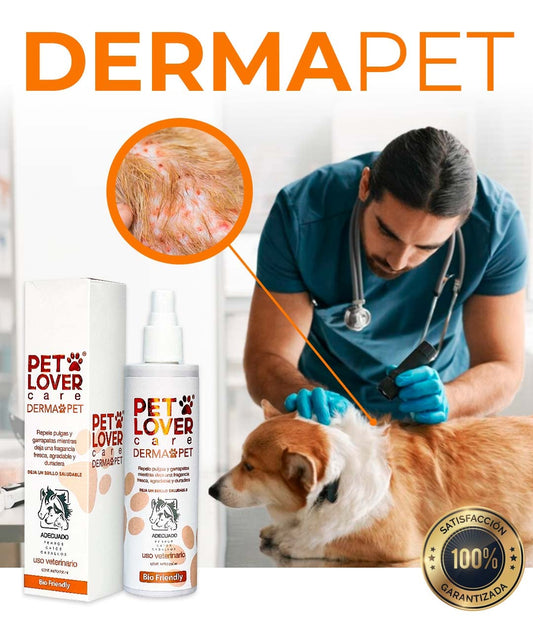 ✨ PET LOVER | 50% OFF POR LA COMPRA DE HOY