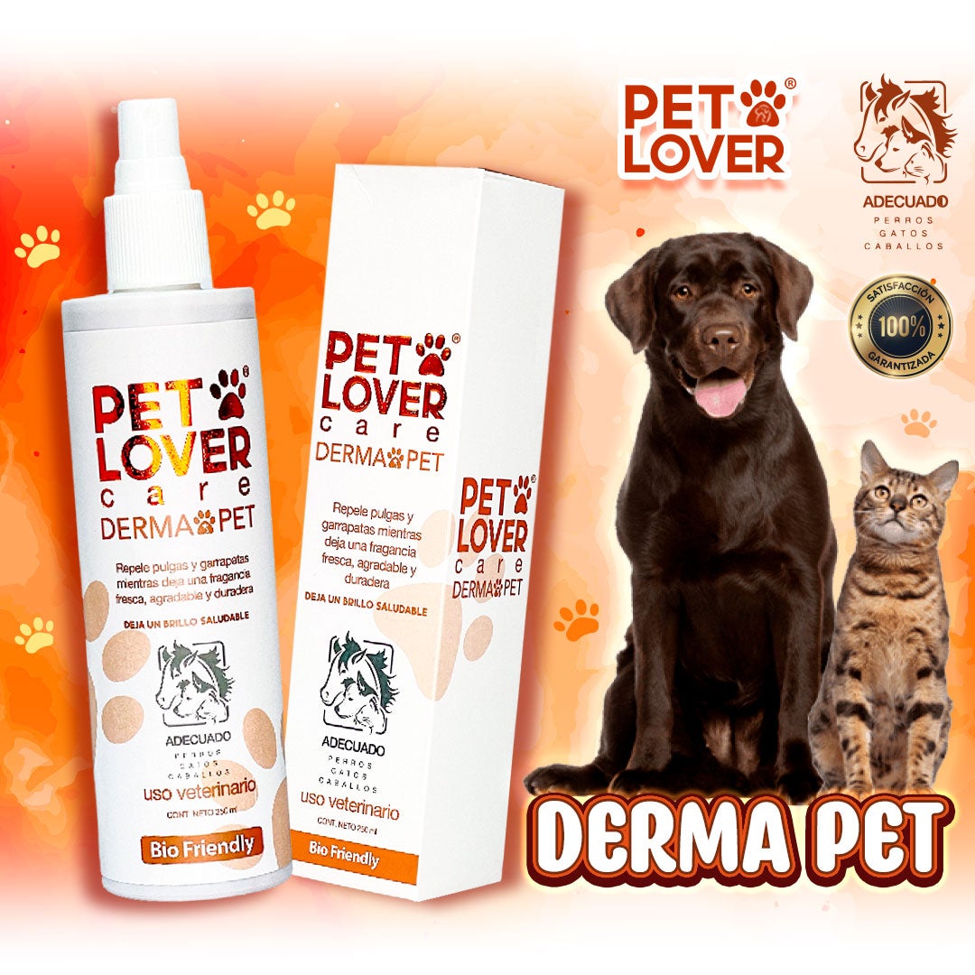 ✨ PET LOVER | 50% OFF POR LA COMPRA DE HOY