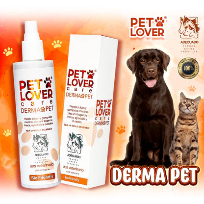 ✨ PET LOVER | 50% OFF POR LA COMPRA DE HOY