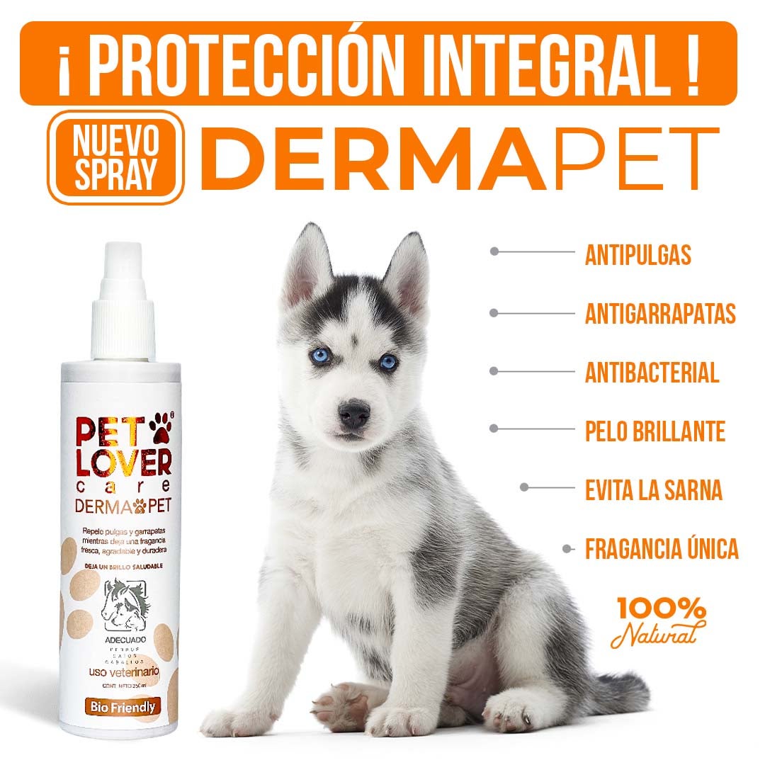 ✨ PET LOVER | 50% OFF POR LA COMPRA DE HOY